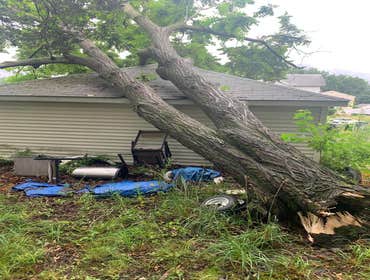 Photos by ALX Tree Services LLC #1