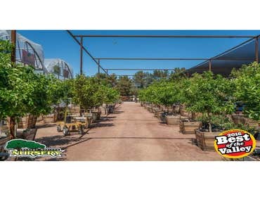 Desert Horizon Nursery Desert Horizon Nursery