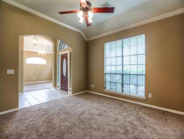 Living Room Carpet