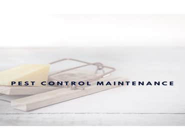 The Maintenance Pro’s Services