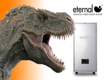 We Have the Experience and the Parts to Fix Eternal Water Heaters