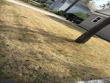 Photos by Beauty Meister Landscaping LLC #2