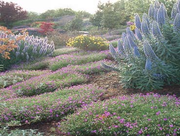 Photos by Confidence Landscaping Inc #1