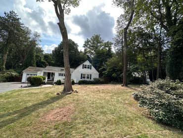 Photos by American Pride Tree Experts & Landscaping Inc #62