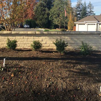 Photos from Yard Works Landscape
