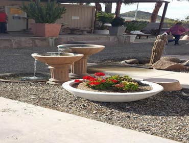 Photos from Arizona Sunscape Lawn Maintenance Llc