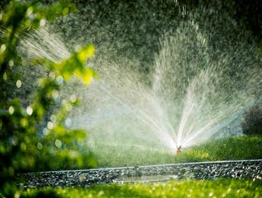 Photos by Fremont Lawn and Landscaping #1