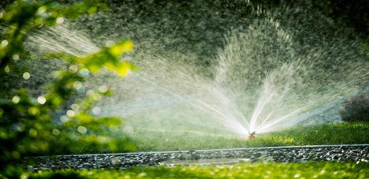 Photos by Fremont Lawn and Landscaping #1