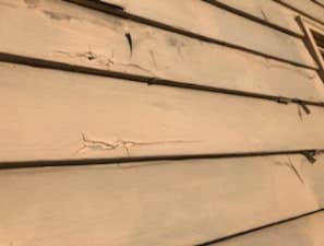 Photos by Painting Professional Work LLC #1