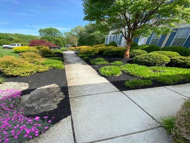 Photos by Sg Gonzalez Landscaping & Maintenance LLC #1