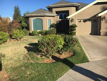 Project photos