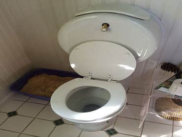 Photos by Your Glendale Plumber - Emergency Plumbing Contractor #1