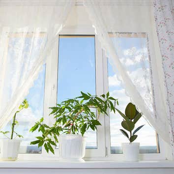 Coast Window Fashions