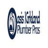 Oasis Kirkland Plumber Pros logo