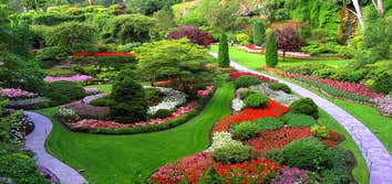 Photos by Ocote Landscaping #1