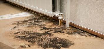 Photos by Big Peach Mold Inspections #1
