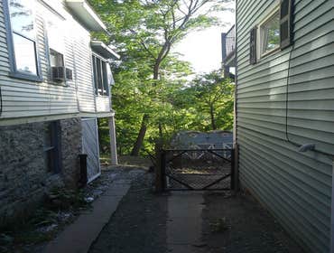Photo(s) from Freeman The Treeman