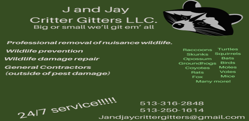 Photos by J and Jay Critter Gitters LLC #1