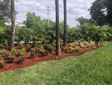Photos by On Point Landscaping & Tree Service, LLC #1