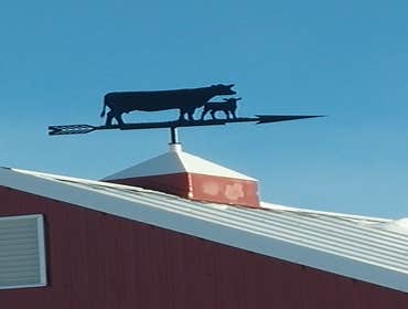 Decorative Iron