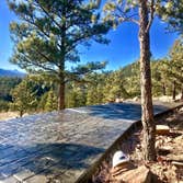 Photos by Savvy Roofing Solutions LLC #1
