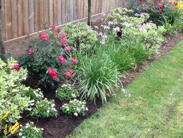 Photos by Divine Landscaping #1