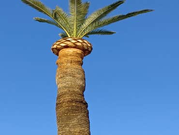Photos by Dangi´s Landscaping and Tree Services #4