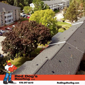 Red Dog's Roofing LLC