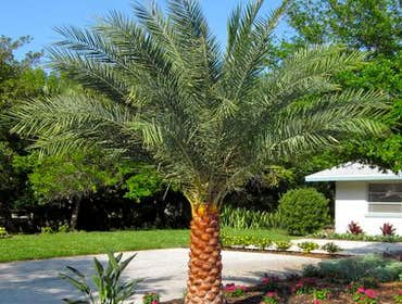 Photos by B&c Fruit Trees & Landscape LLC #1