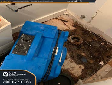 Photos by Ucm Carpet Cleaning of Kendall #1