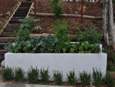 Landscaping