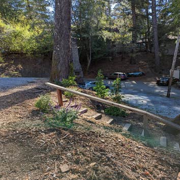 Photos by Tuyub Landscaping #1