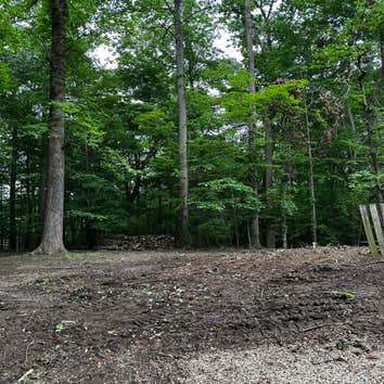 Flores Tree Services General & Landscaping