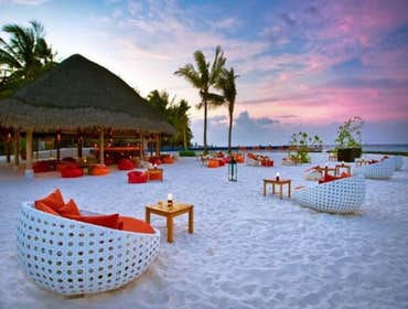Photos by Native American Chiki Huts / Tiki Huts, Inc. Welcome to the ultimate tropical escape right in your outdoor space! At Native American Tiki Pal