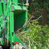 Green Hill Tree Service logo