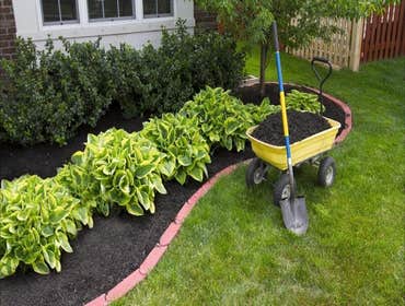 Photos by Marcial Martinez Landscaping #1
