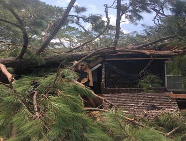 Photos by Service Restoration Pros LLC #1 A tree fell through the roof of this 3 bedroom house during Hurricane Ida. It left several gaping holes and a