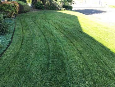 Photos by Morfins Tree Trim & Landscape #1
