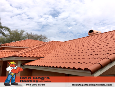 Photos by Red dog's Roofing of Florida #1