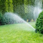 Oak Tree Services & Landscaping
