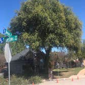 Photos by Denton Tree Service #1