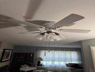 Photos by Jackson Electric #1