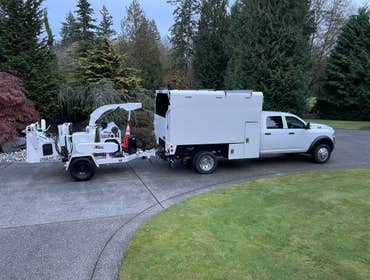Photos by Bersch Tree Service LLC #1