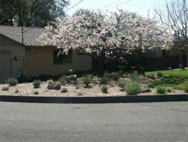 wine country stone and landscape design by quiet elegance