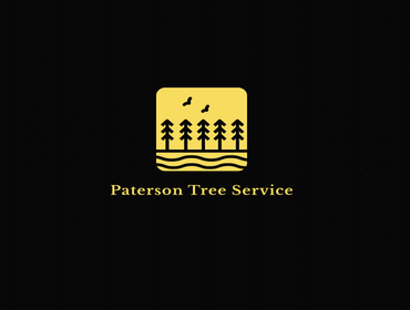 Photos by Tree Service Paterson #1