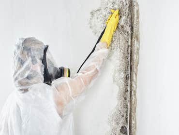 Photos by Sugarcane City Mold Removal Experts #1