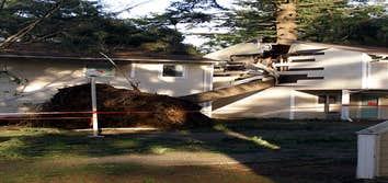 Photos by Restoration Group Inc DBA Cronic Disaster Services #1