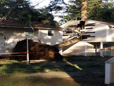 Photos by Restoration Group Inc DBA Cronic Disaster Services #1