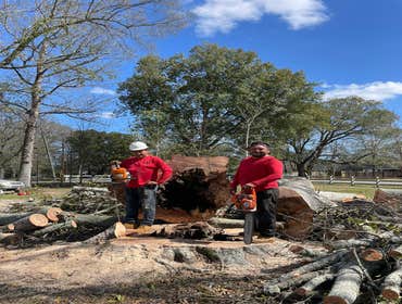 Photos by Santana Tree Service LLC #2