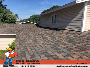 Photos by Red dog's Roofing of Florida #1